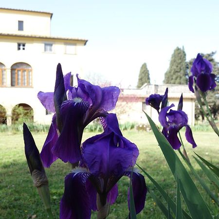 Bella Di Ceciliano Acomodação com café da manhã Arezzo Exterior foto