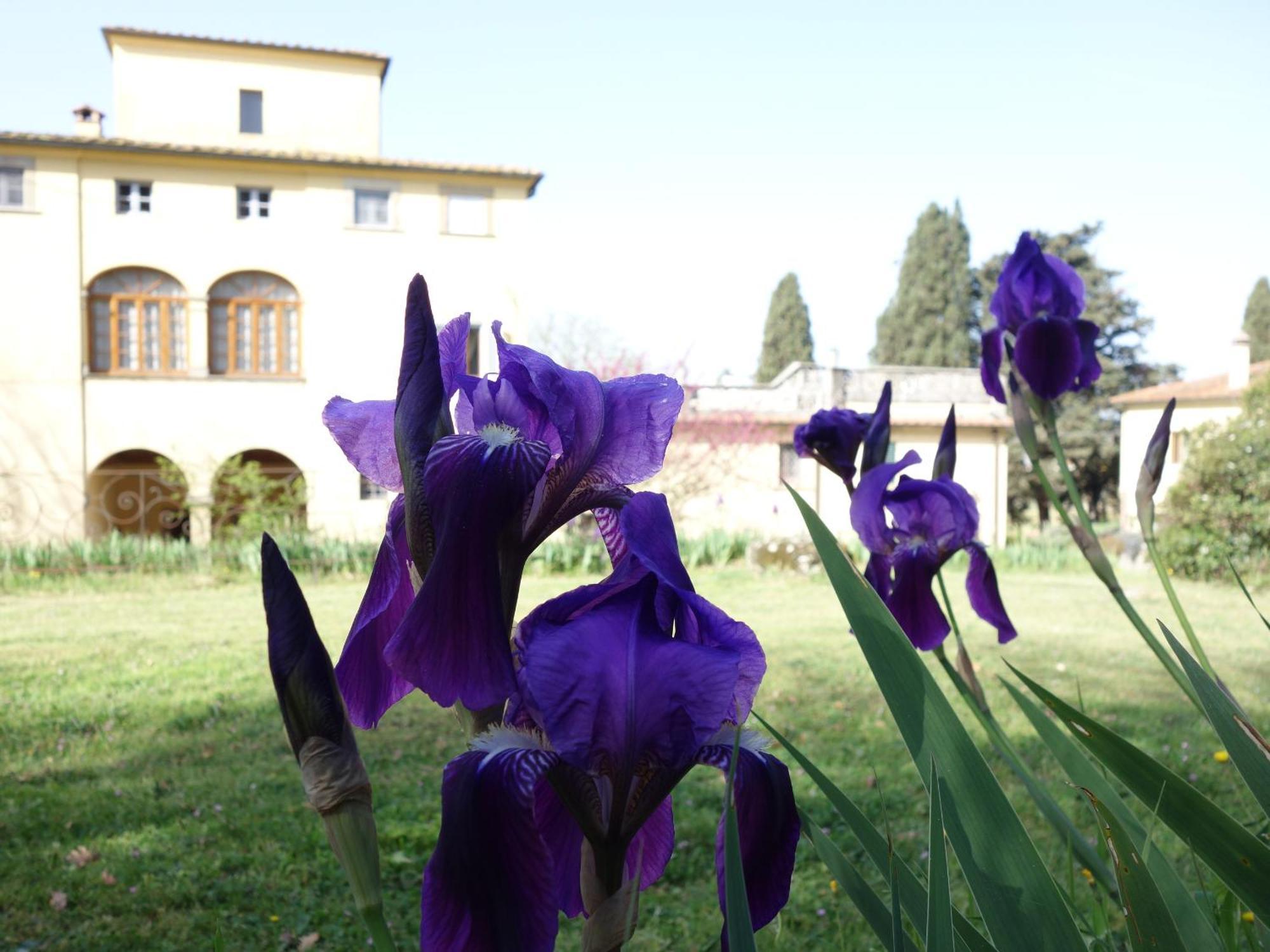 Bella Di Ceciliano Acomodação com café da manhã Arezzo Exterior foto