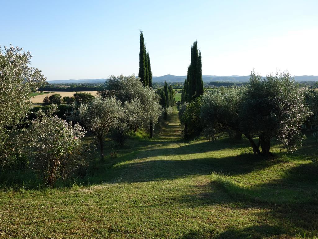 Bella Di Ceciliano Acomodação com café da manhã Arezzo Exterior foto