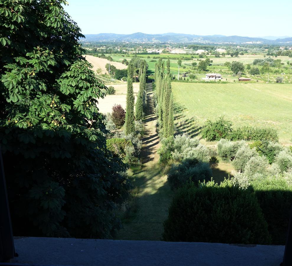 Bella Di Ceciliano Acomodação com café da manhã Arezzo Exterior foto